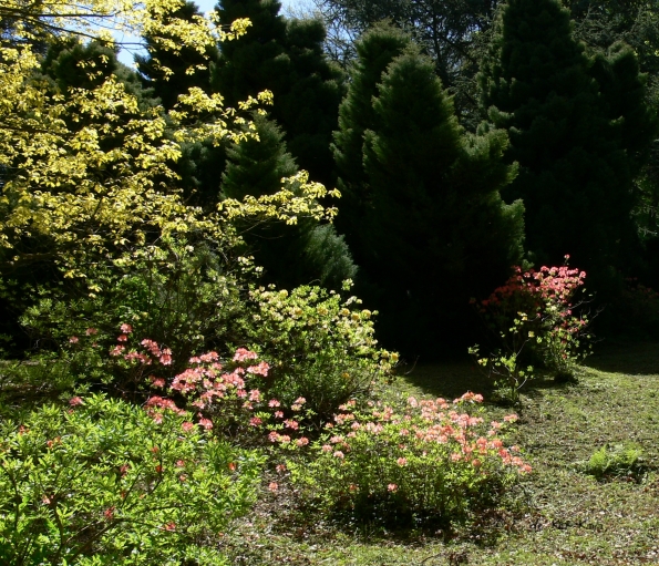 Bois des Moutiers (206) Mai 2012